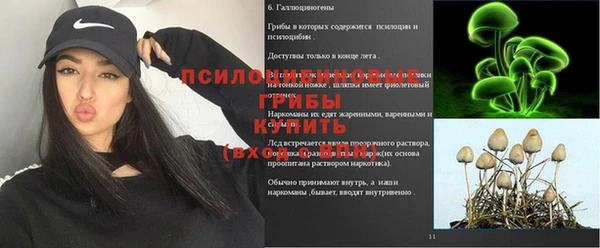 mdpv Елизово