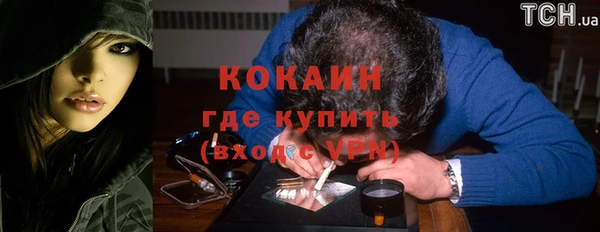 мет Ельня