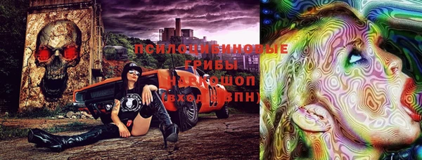 мет Ельня