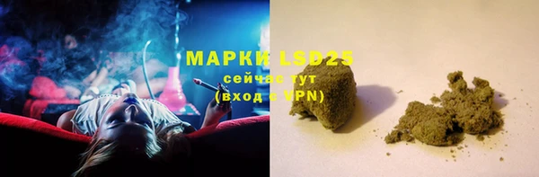 мет Ельня