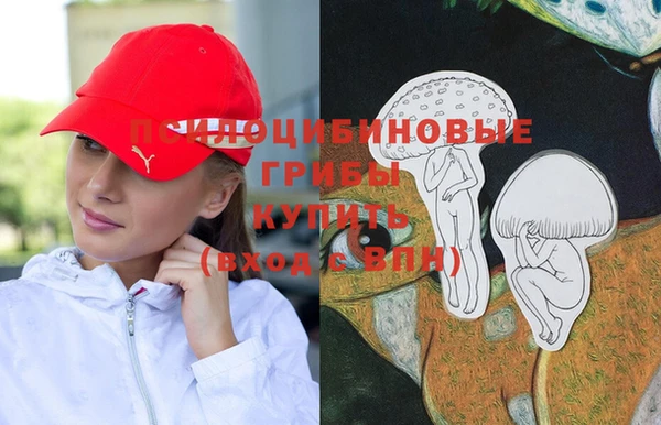 mdpv Елизово
