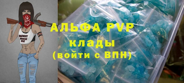мет Ельня