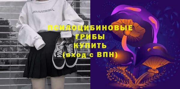mdpv Елизово