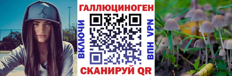 Купить закладки  Калач  Псилоцибиновые грибы MAGIC MUSHROOMS 